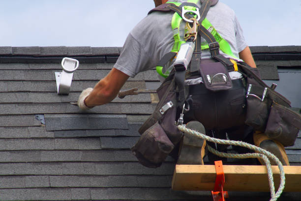 Best Roof Gutter Cleaning  in Linln Park, CO